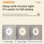 Smart Voice Control USB Light